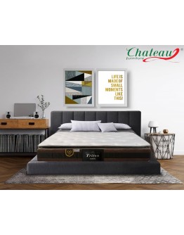 Triton Queen Mattress Triton Queen Mattress